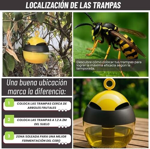 trampa para avispas